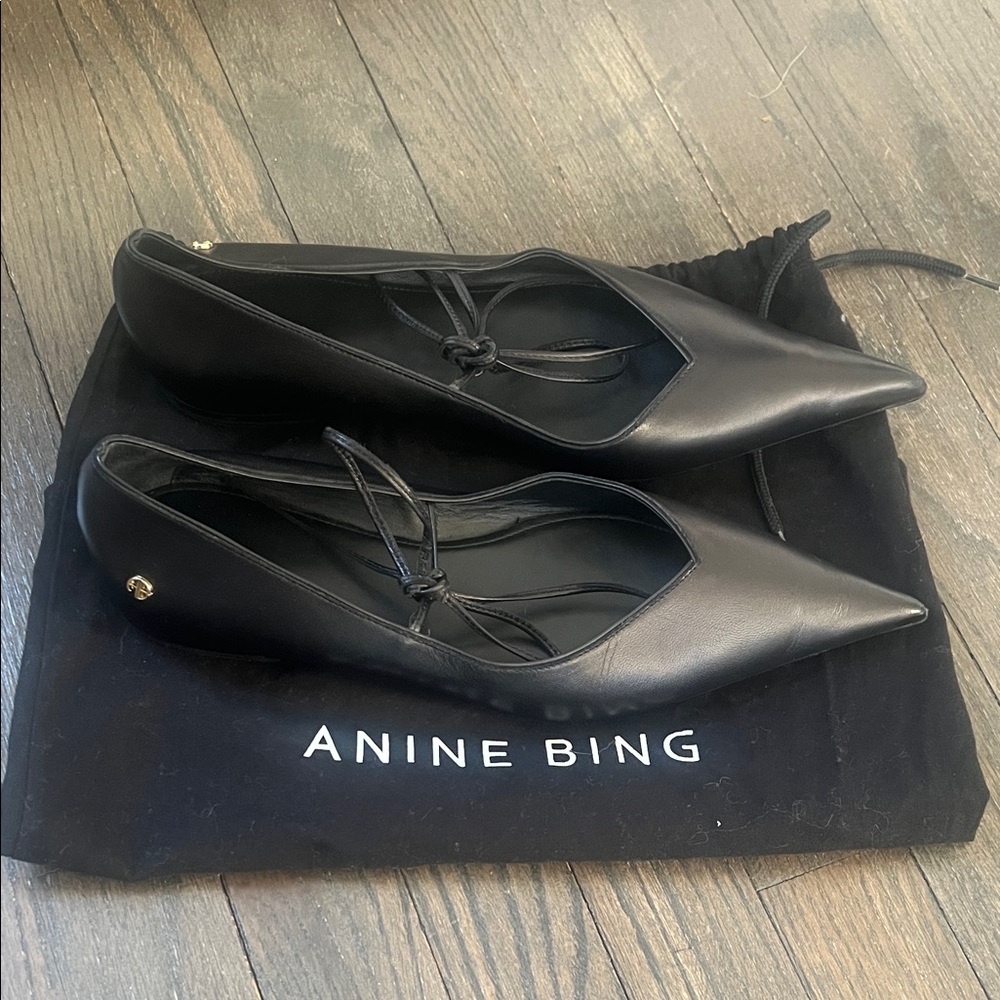 Anine Bing Nikki Flats - Black leather pointed - Picture 13 of 13